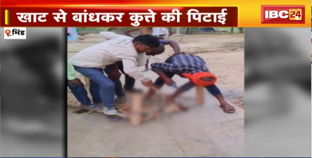 Bhind Animal Cruelty