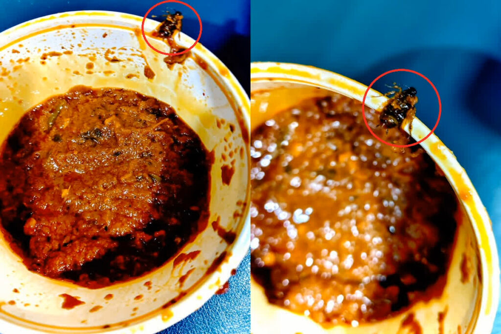 Cockroaches Found in Kadhai Paneer | Image source: IBC24