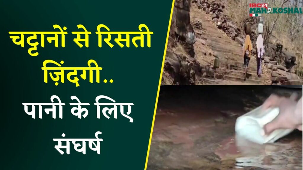 Katni News
