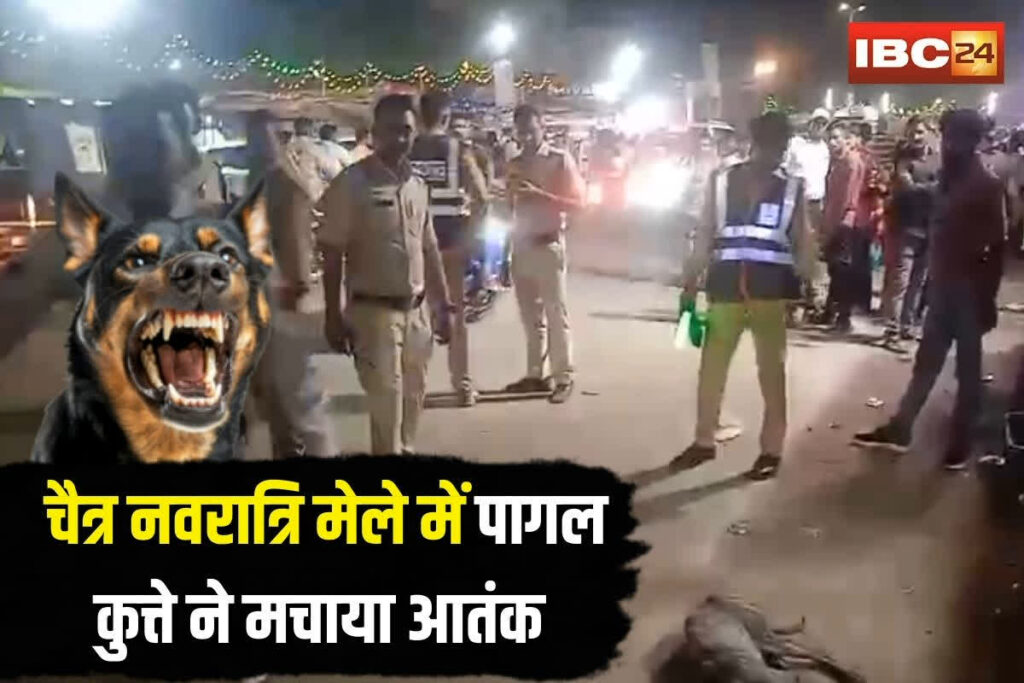 Dog Bite Shajapur | Image Source | IBC24