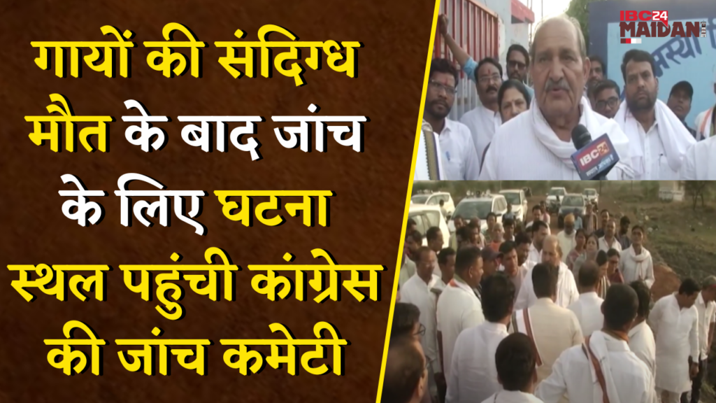 Raipur News