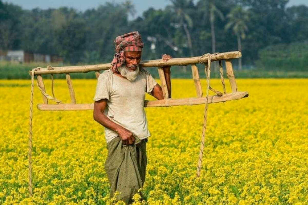 Good News For Farmers/ Image source: IBC24 File Photo