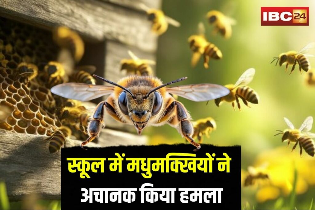 Gariaband School Bee Attack | Image Source | IBC24
