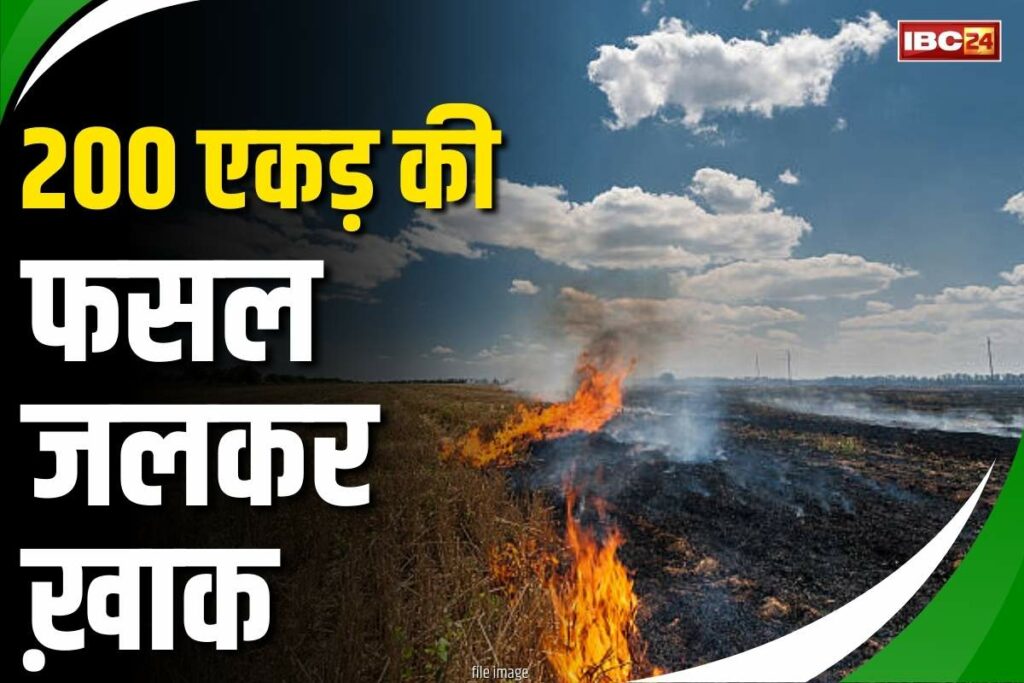 Fire in field in Jabalpur video