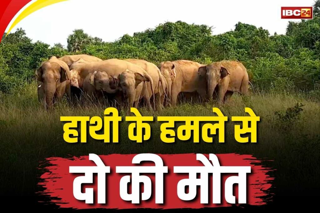Elephant attack in Chhattisgarh
