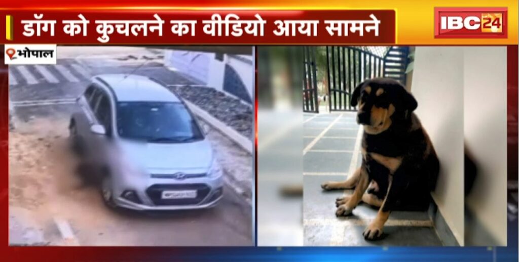In Bhopal a railway employee crushed his neighbor's dog