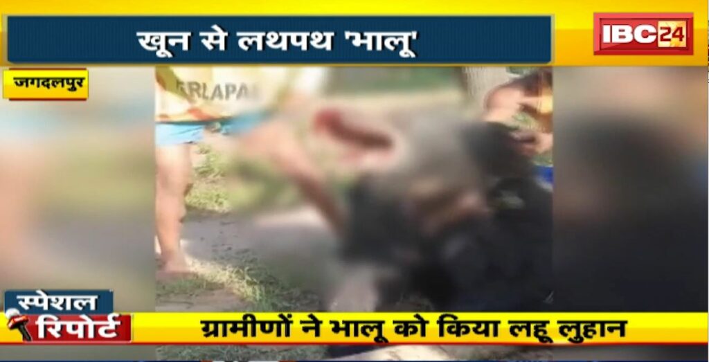 Jagdalpur Animal Cruelty