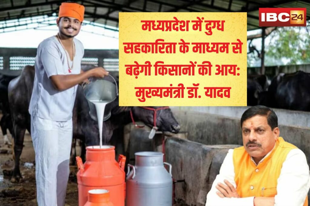 MP News | Image Source | IBC24