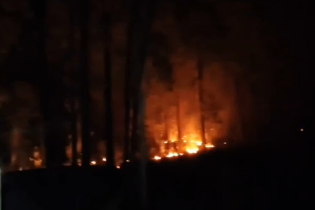 Fire in Sanjay Tiger Reserve Forest| Image source: IBC24