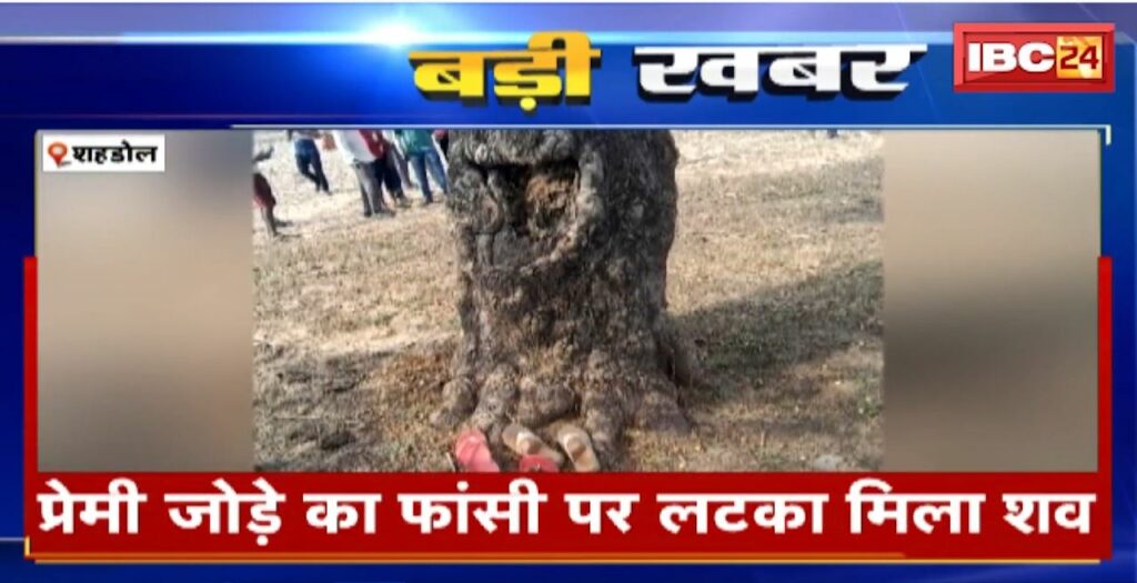 Shahdol News