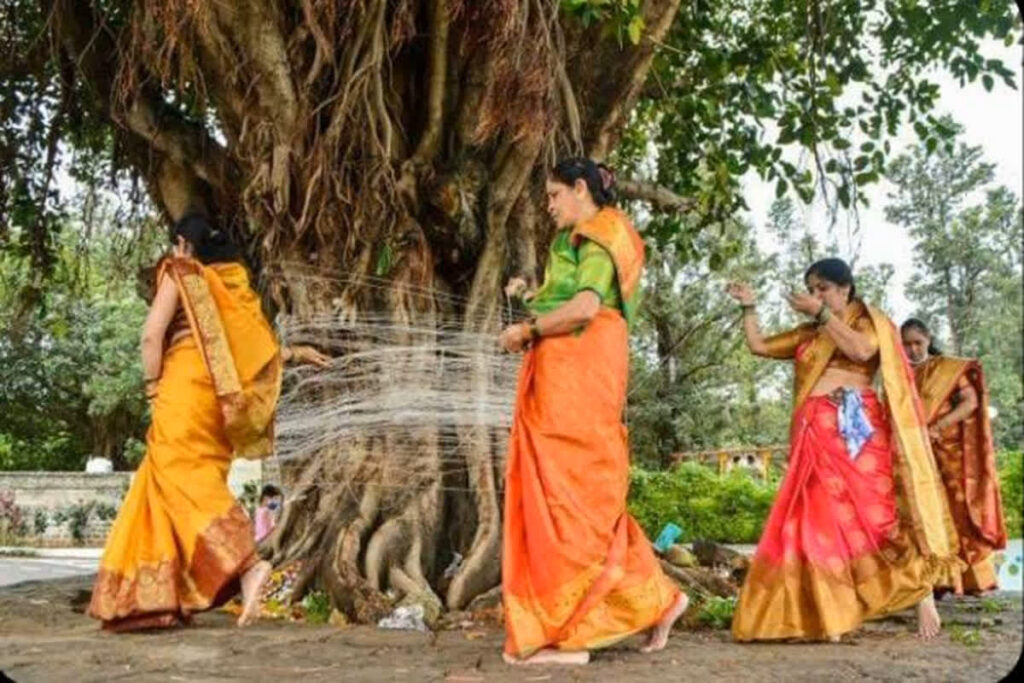 Vat Savitri Vrat 2025/ Image Credit: Pinterest