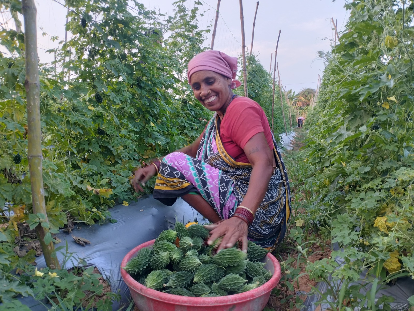 Adani Foundation/ Image Credit: Adani Foundation