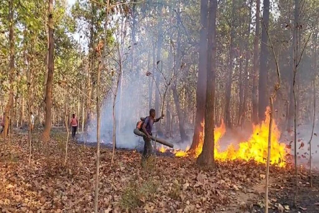 fire in CG forest, image source: ibc24