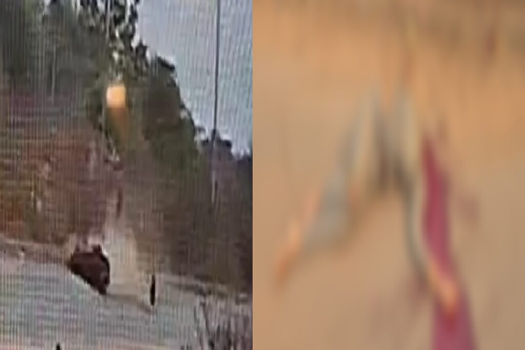 Raipur Road Accident/ Image Credit: IBC24