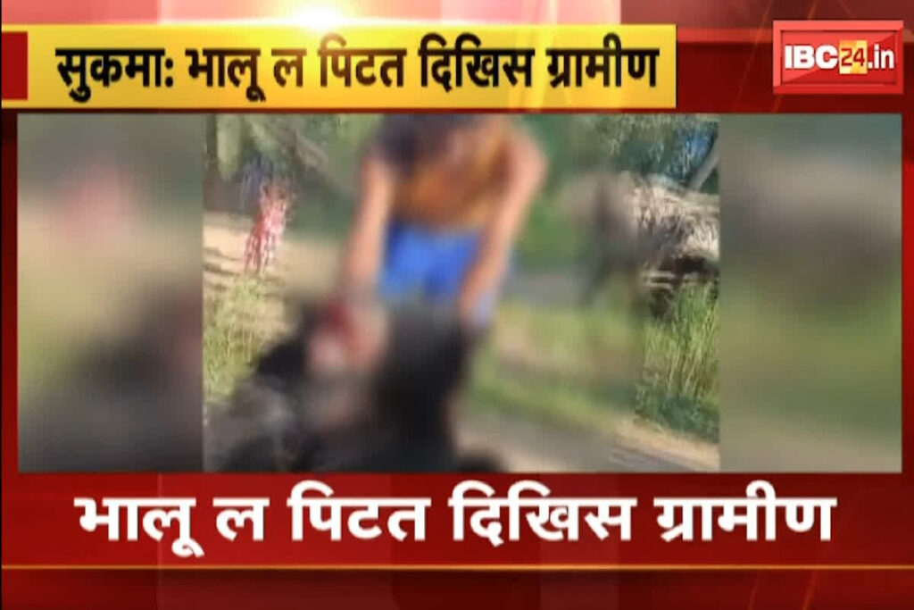 Bhalu Ki Pitai Ka Video/ Image source: IBC24