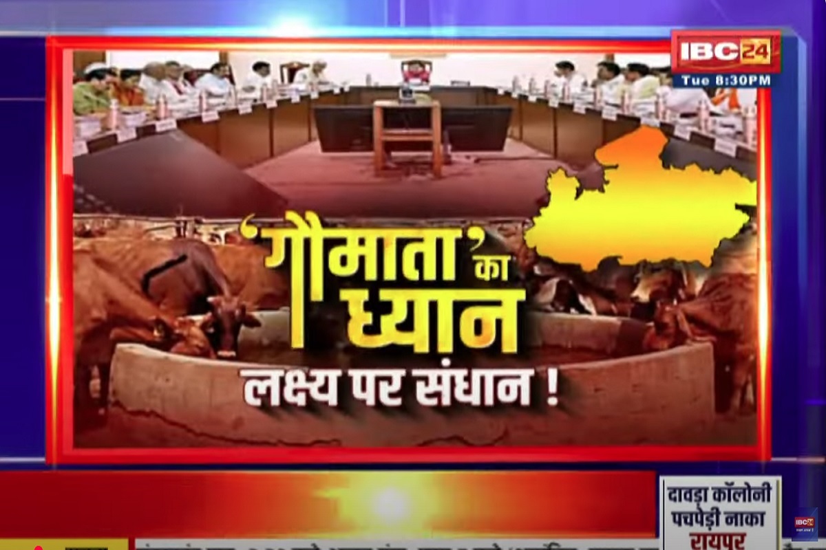Face to Face Madhya Pradesh: ‘गौमाता’ का ध्यान..लक्ष्य पर संधान! क्या कृष्ण भक्ति और गौ सेवा के जरिए सीएम मोहन एमपी की राजनीति को नया मोड़ दे रहे हैं?