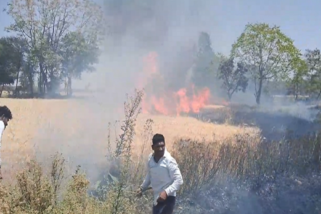 Bhopal Fire News | Image Source | IBC24