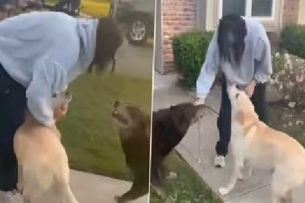 Sunita Williams Latest Video/ Image Credit: Sunita Williams X Handle