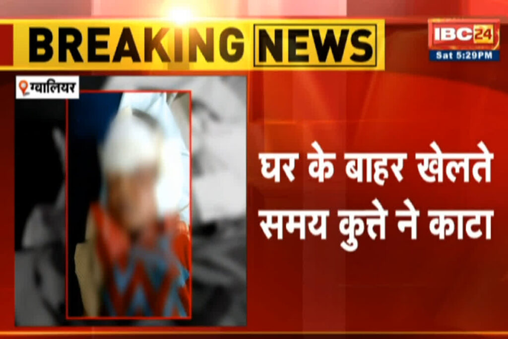 MP Dog Bite News/ Image Credit: IBC24