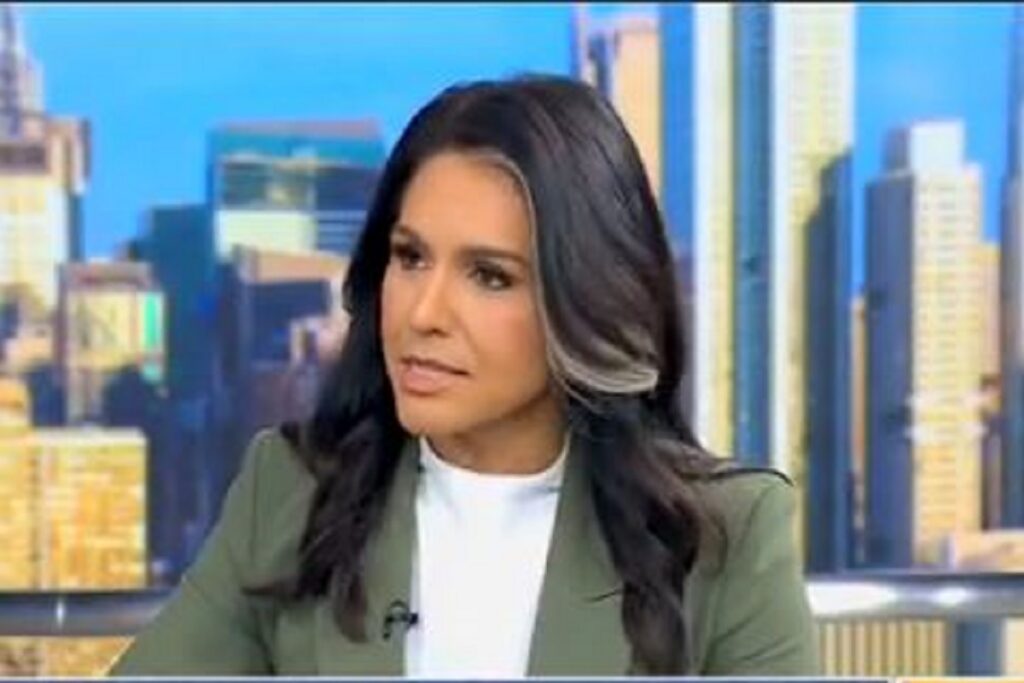 Tulsi Gabbard on pahalgam attack, image source: DNI Tulsi Gabbard X