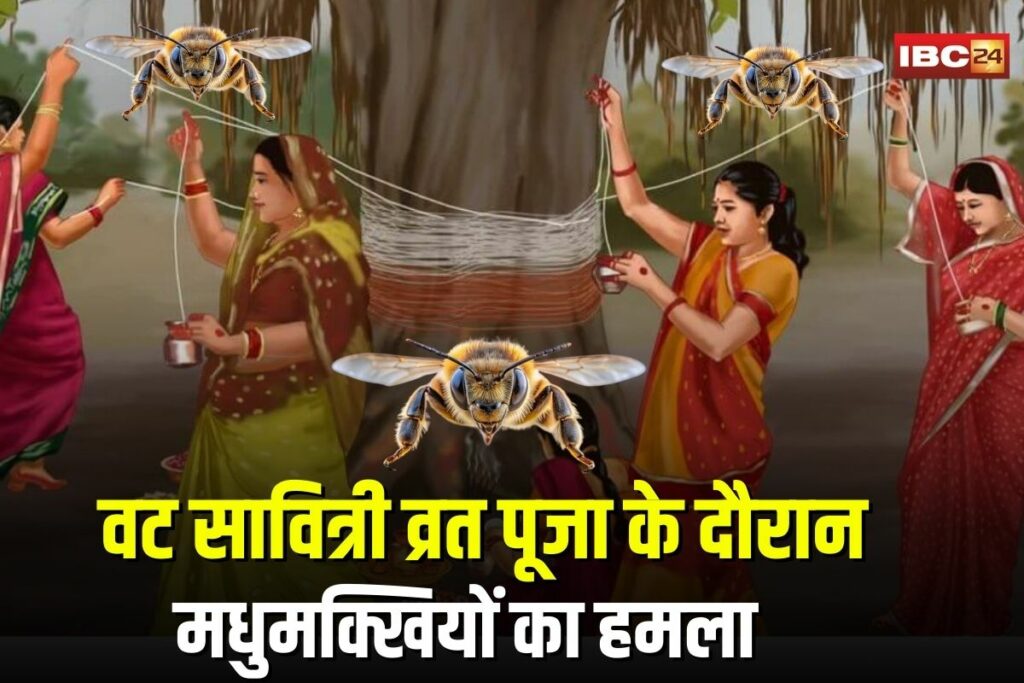 Bee Attack Wadrafnagar | Image Source | IBC24