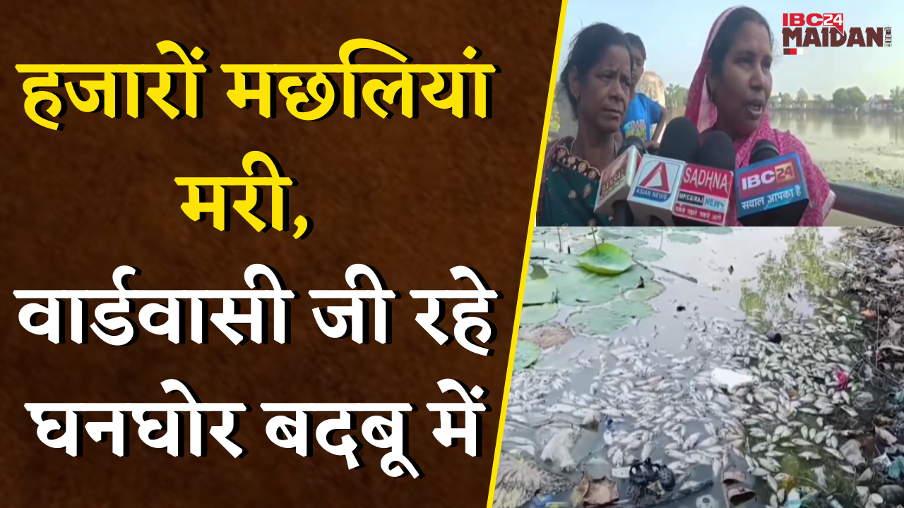 Bhatapara: कल्याण सागर तालाब में हजारों मछलियां मरी। वार्डवासी जी रहे घनघोर बदबू में |