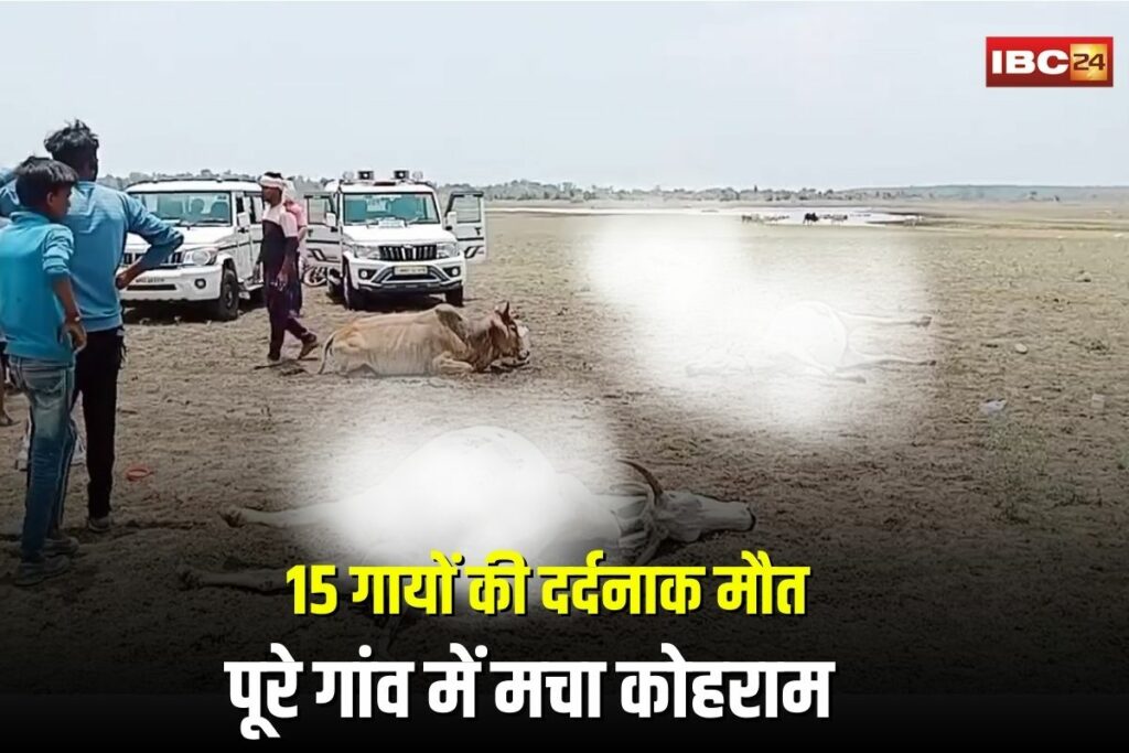 Guna Cow Death Case | Image Source | IBC24