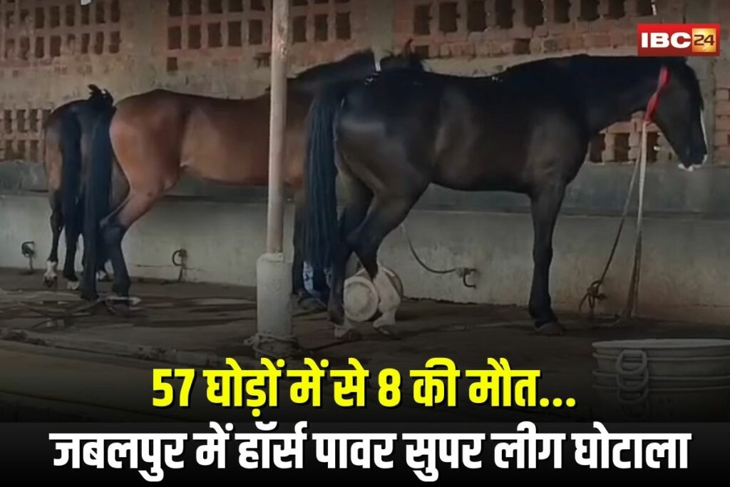 Jabalpur Horse Death News | Image Source | IBC24