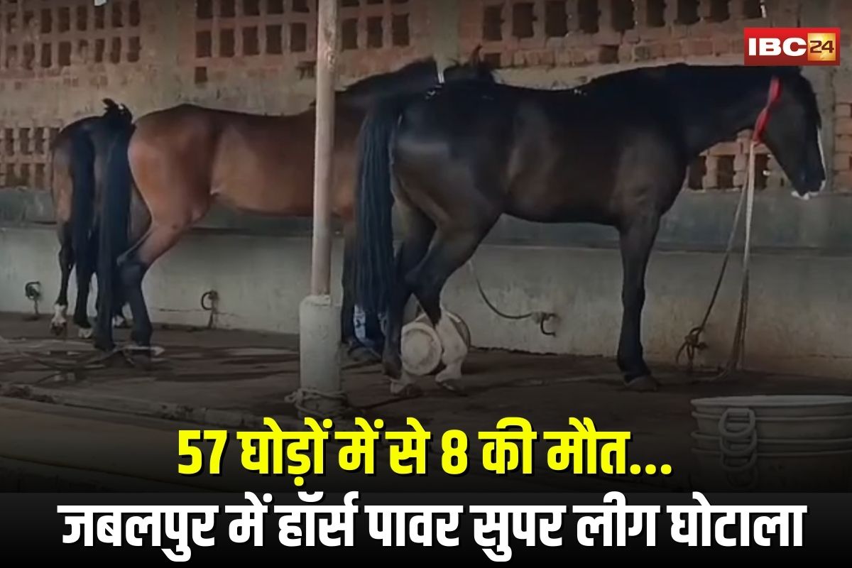 Jabalpur Horse Death News: 57 घोड़ों में से 8 की मौत… फार्म हाउस पर हॉर्स पावर सुपर लीग के सट्टेबाजी घोटाले का गंभीर आरोप