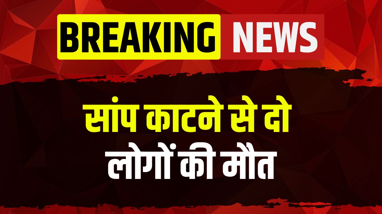 MP Hindi News: दिल दहलाने वाली घटना, सांप काटने से 4 साल की बच्ची और महिला की मौत, रास्ते में ही दोनों ने तोड़ा दम