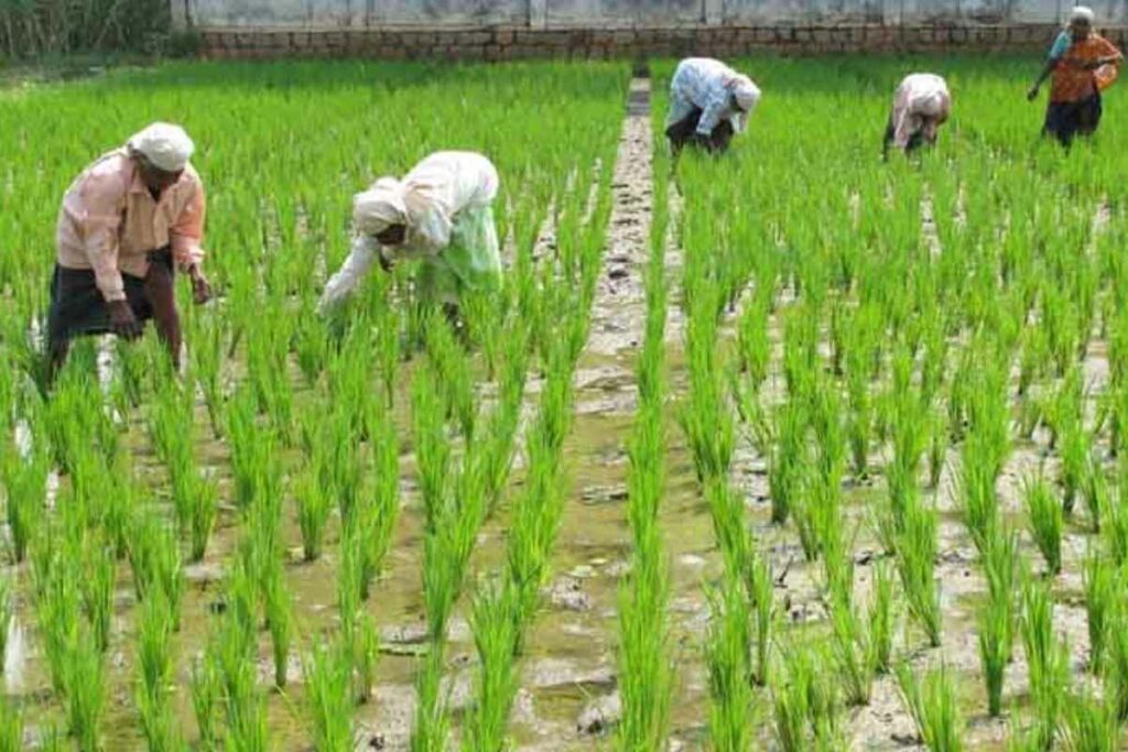 New Land Law in Uttarakhand: प्रदेश में बाहरी व्यक्ति नहीं खरीद सकेंगे जमीन / Image Source: File