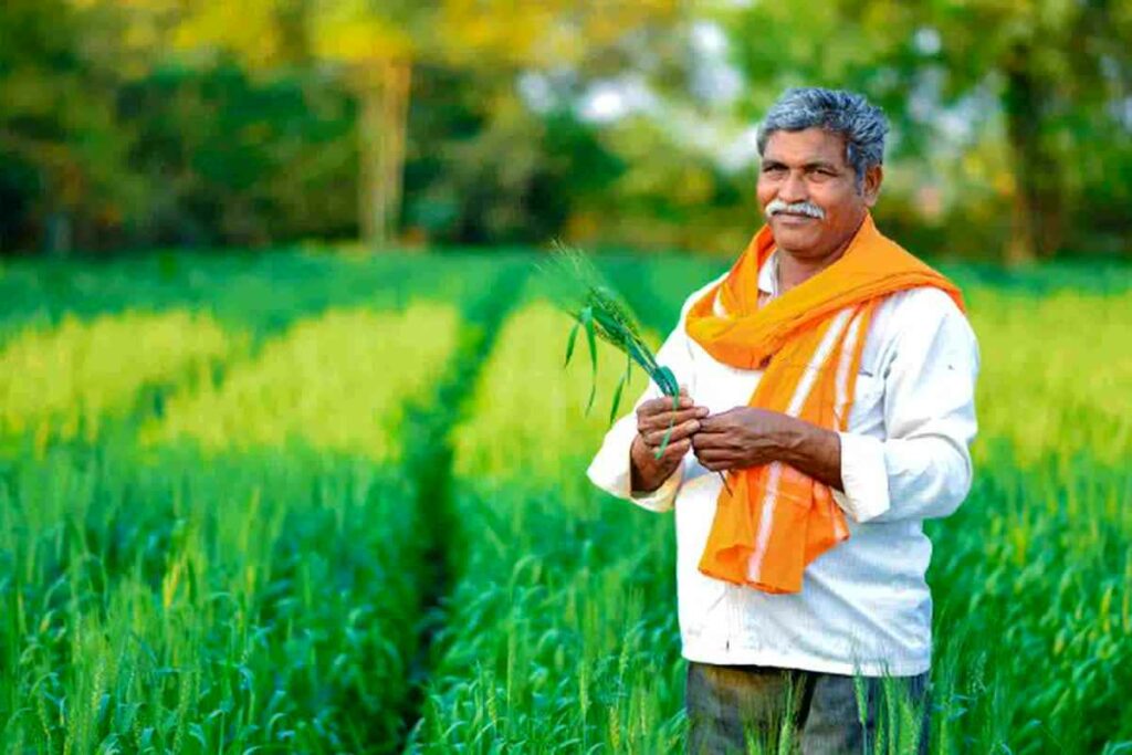 PM Kisan Yojana 20th Installment Latest Update/Image Credit:IBC24 File
