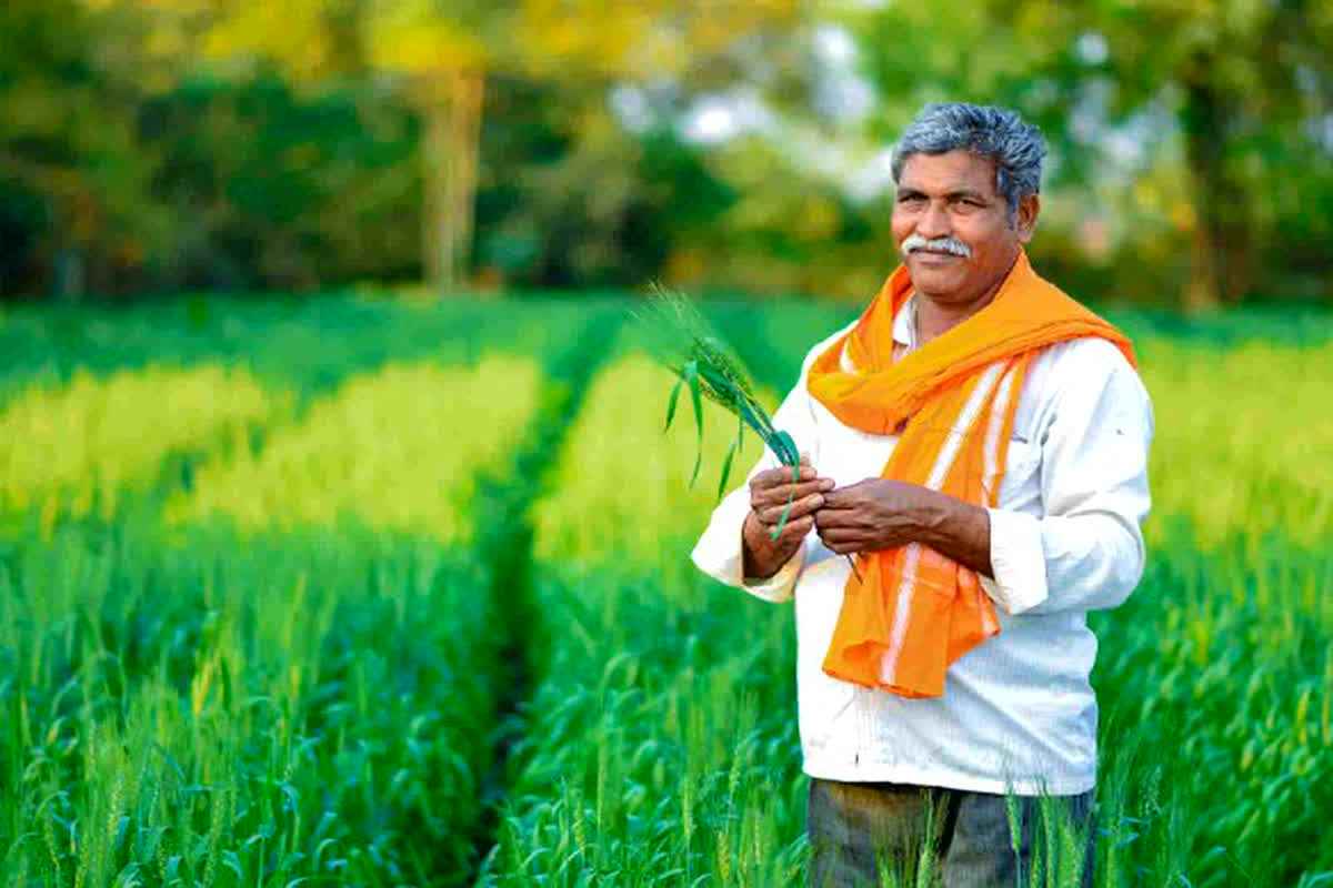 PM Kisan Yojana 20th Installment Latest Update: जल्द जारी होने वाली है 20वीं किस्त की राशि.. लाभार्थी 31 मई से पहले फटाफट कर लें ये जरूरी काम, वरना खाते में नहीं आएंगे पैसे