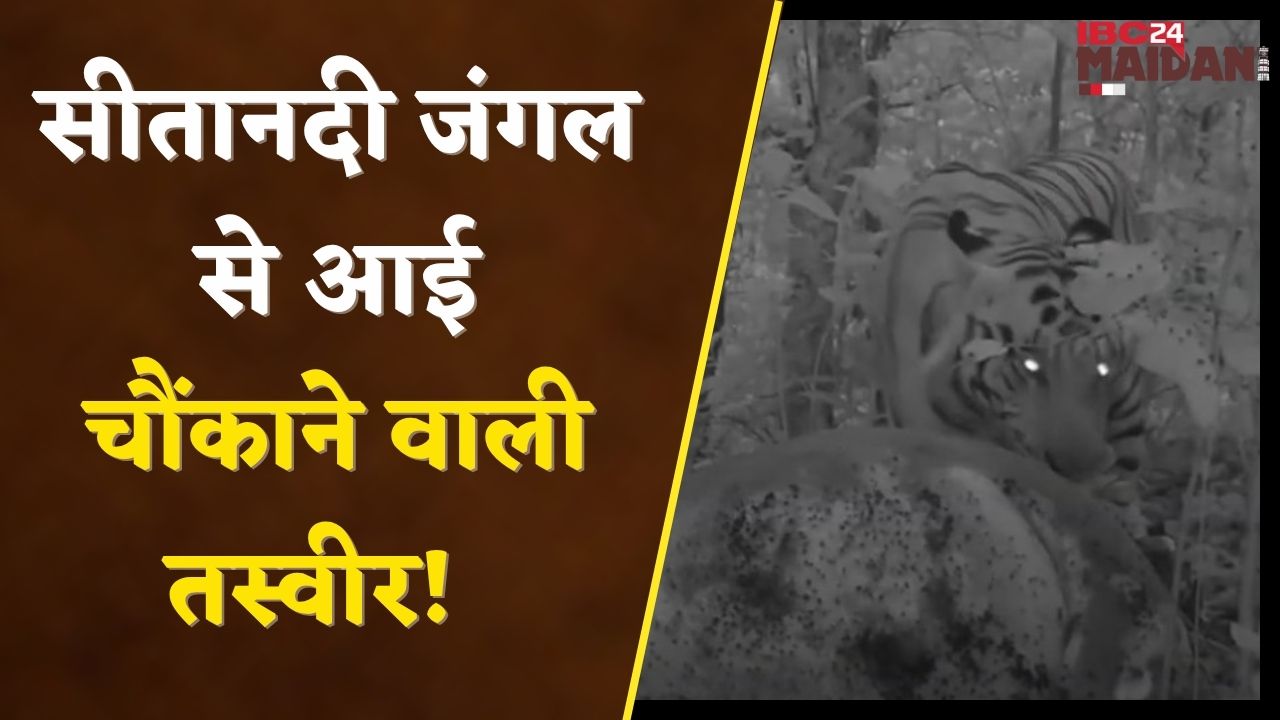 Dhamtari: कैमरे में कैद हुई चौंकाने वाली तस्वीर | IBC24 Maidani | CG News