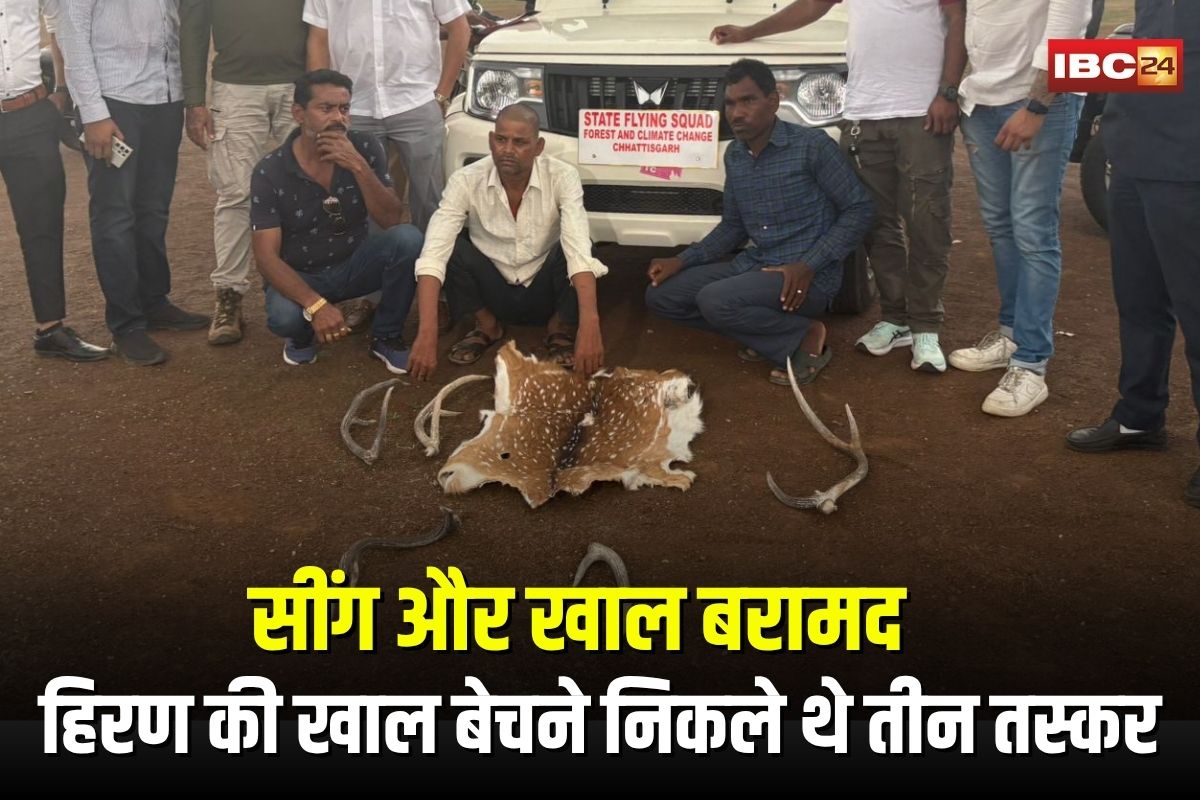 Raipur Crime News: हिरण की खाल बेचने निकले थे तीन तस्कर, राजधानी में वन विभाग ने रंगेहाथ दबोचा, सींग और खाल बरामद