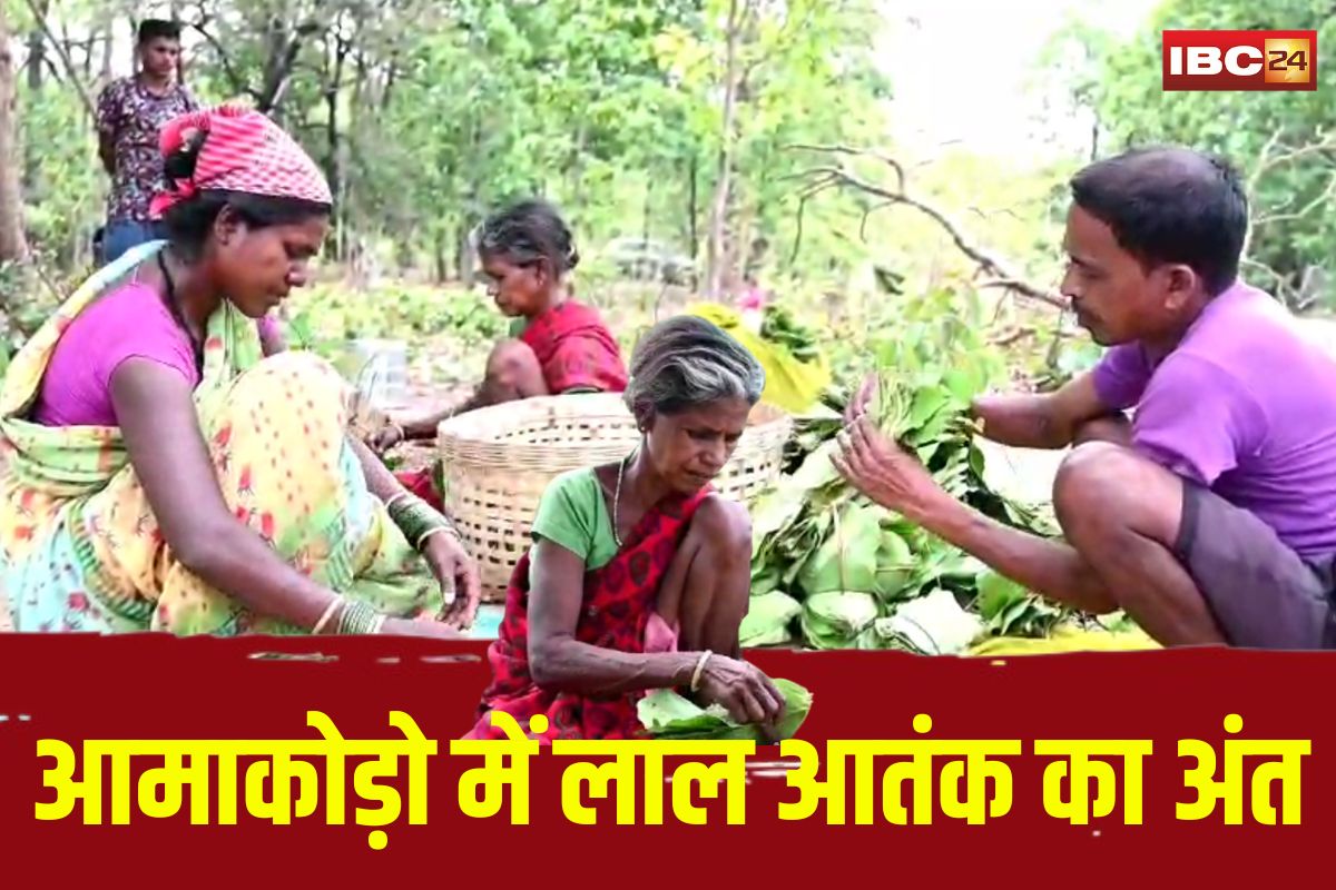 Mohla Manpur News: जहां पहले गूंजती थी बंदूकें, अब सुनाई देती है मेहनत की आवाज… आमाकोड़ो में लाल आतंक का अंत