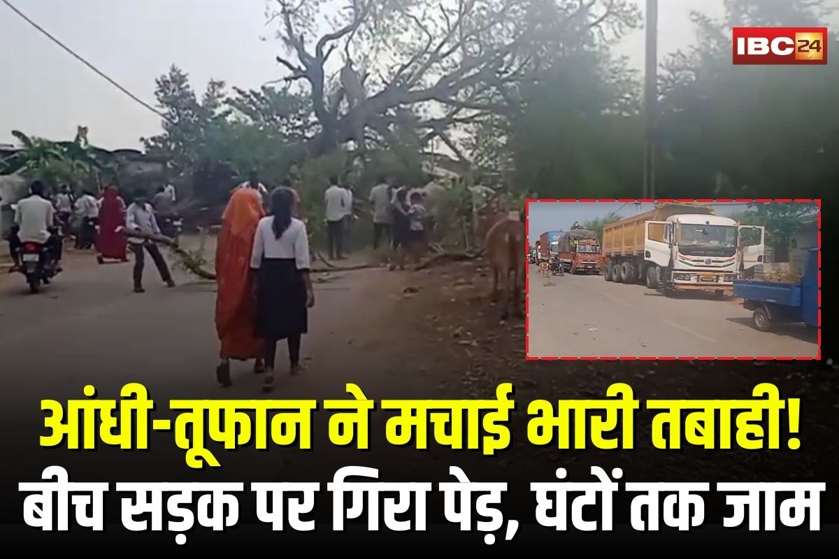 Kawardha News: आंधी-तूफान ने मचाई भारी तबाही! बीच सड़क पर गिरा पेड़, घंटों तक जाम में फंसे लोग, प्रशासन नदारद