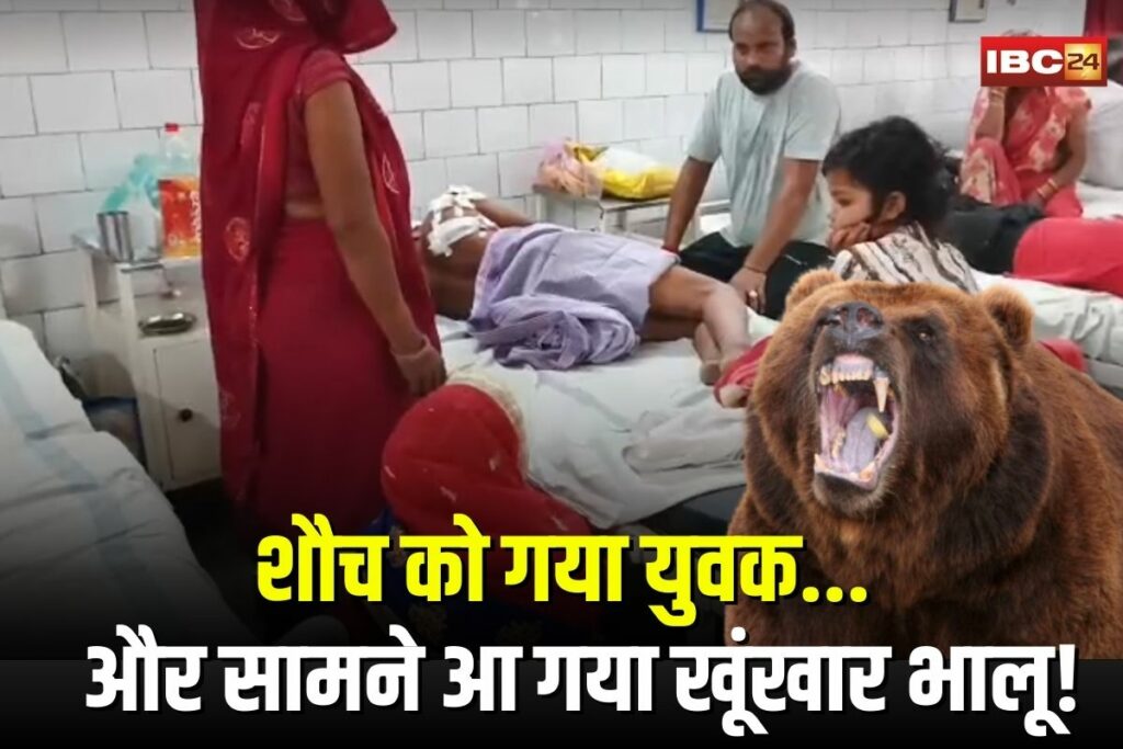 Panna Bear Attack News | Image Source | IBC24
