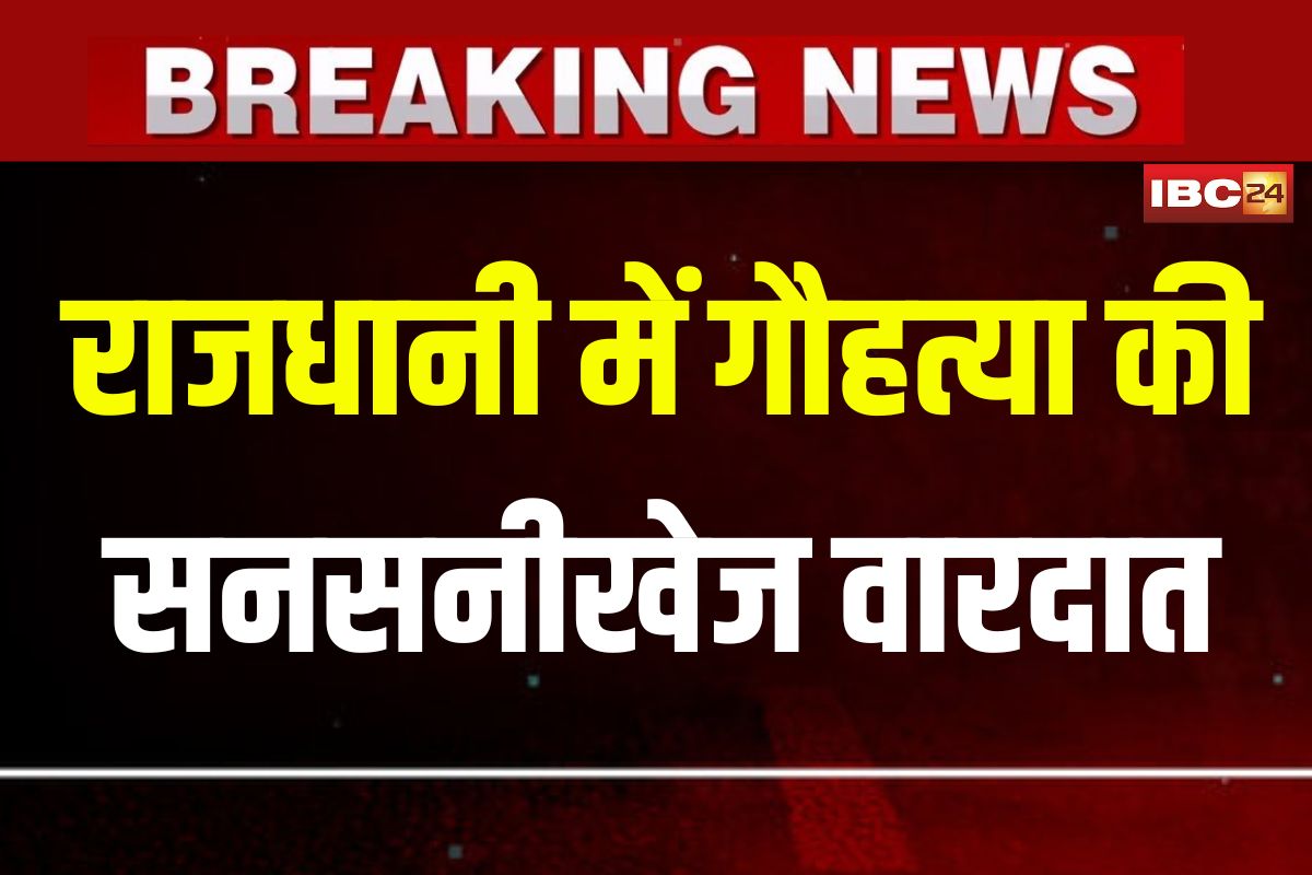 Bhopal News: राजधानी में गौहत्या की सनसनीखेज वारदात! बजरंग दल की दबिश से मौके से फरार हुए आरोपी, भारी मात्रा में मांस बरामद