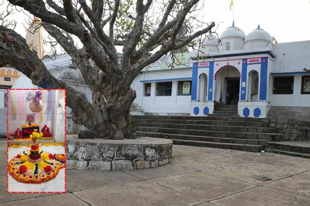 Dhamtari News | Image Source | IBC24