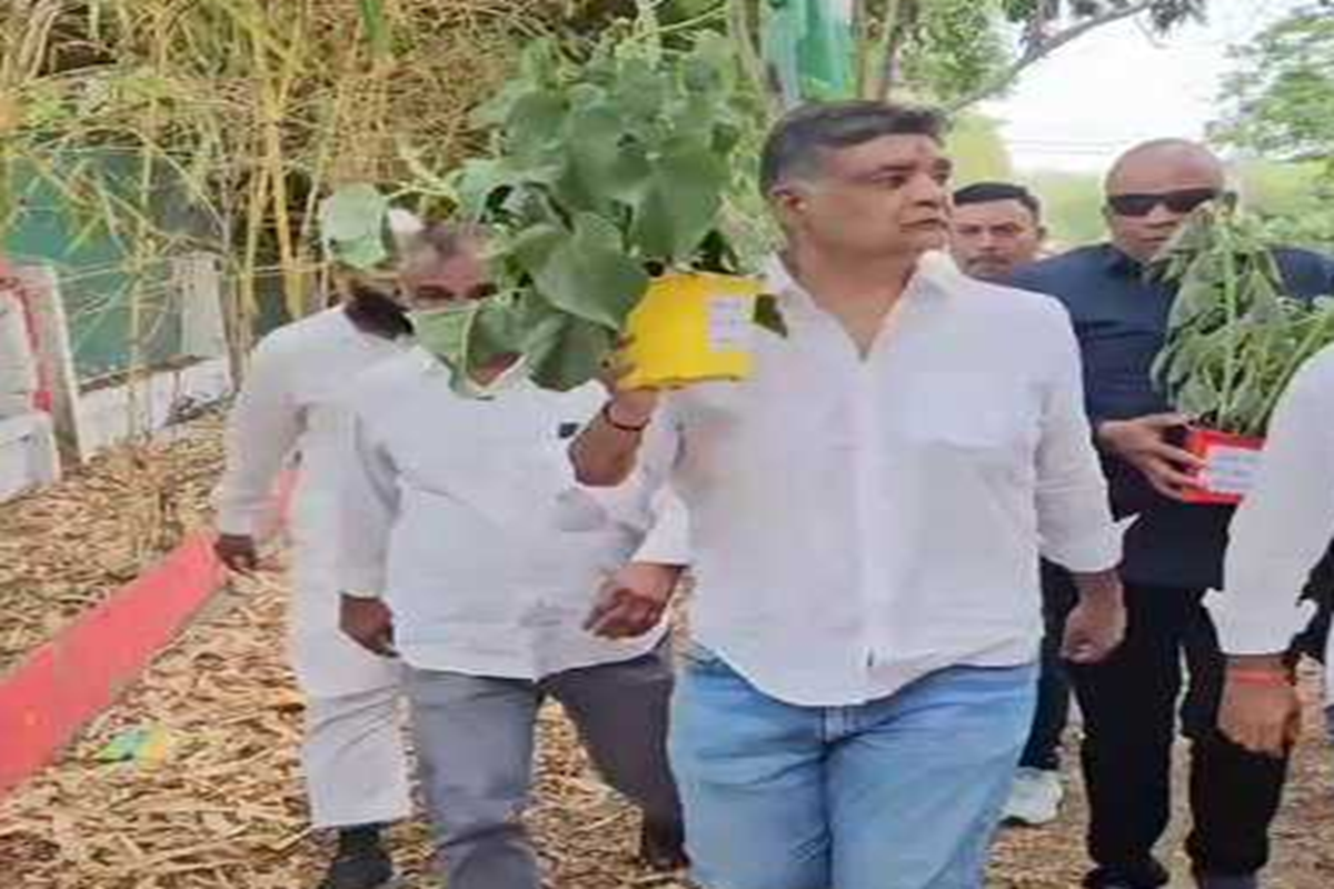 Minister Vijay Shah controversy: कांग्रेस नेता ने मंत्री विजय शाह के बंगले पर पहुंचकर भेंट किए “बेशर्म के पौधे”, वीडियो सोशल मीडिया में वायरल