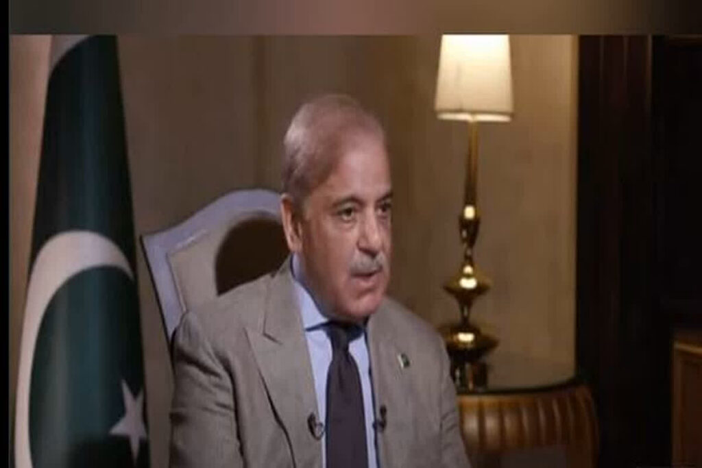 shahbaj sharif on Operation sindoor, image source: ani