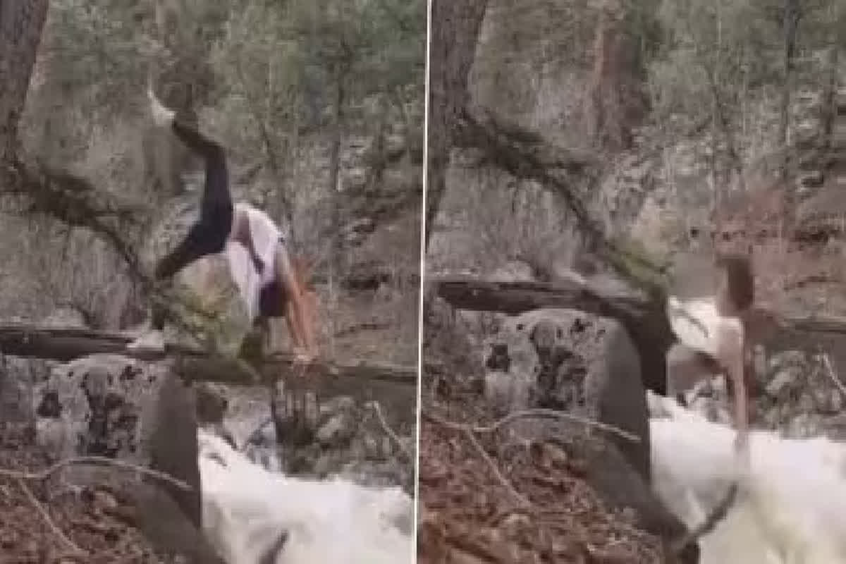 Girl Viral Video: रील बनाने के चक्कर में लड़की ने पार की हद, वायरल वीडियो देख आपको भी नहीं होगा यकीन