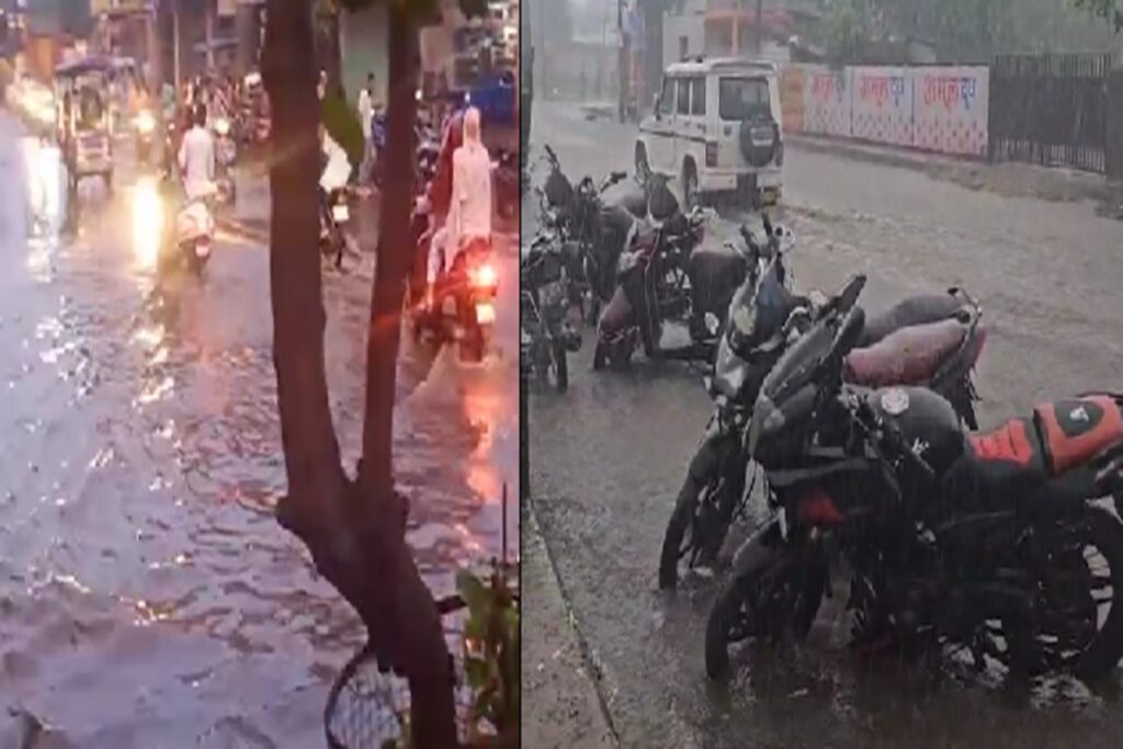 Bilaspur News/ Image Credit: IBC24