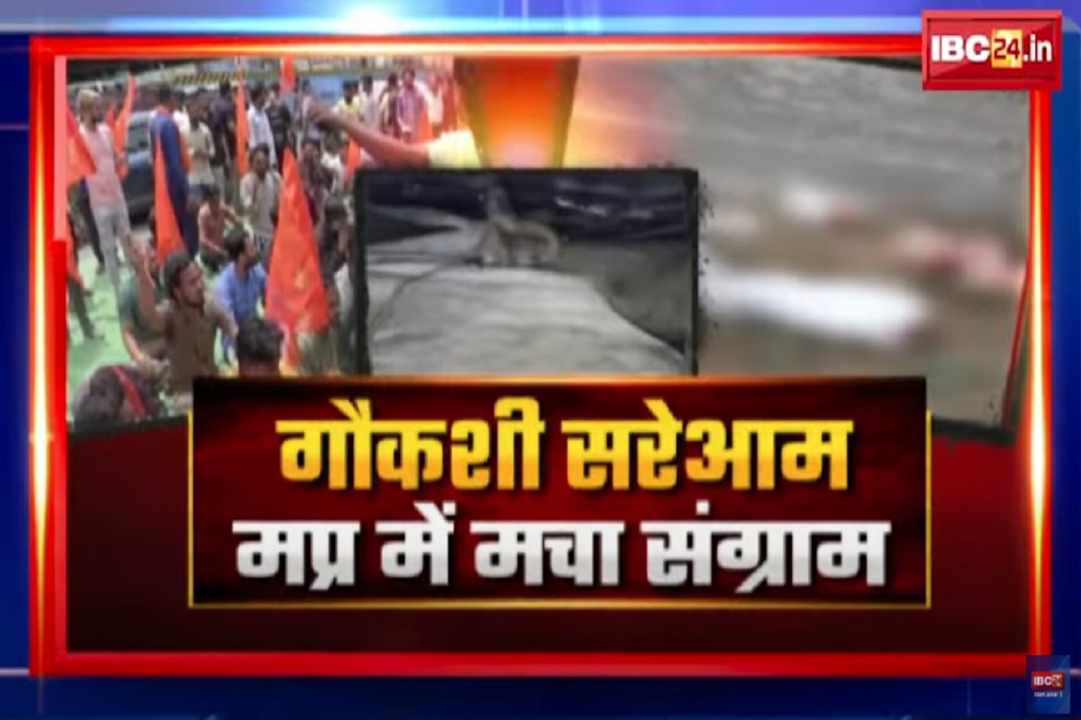 Face To Face Madhya Pradesh: गौकशी सरेआम..मध्यप्रदेश में मचा संग्राम, गौ संरक्षण के दावे आखिर क्यों साबित हो रहे खोखले? देखिए पूरी रिपोर्ट