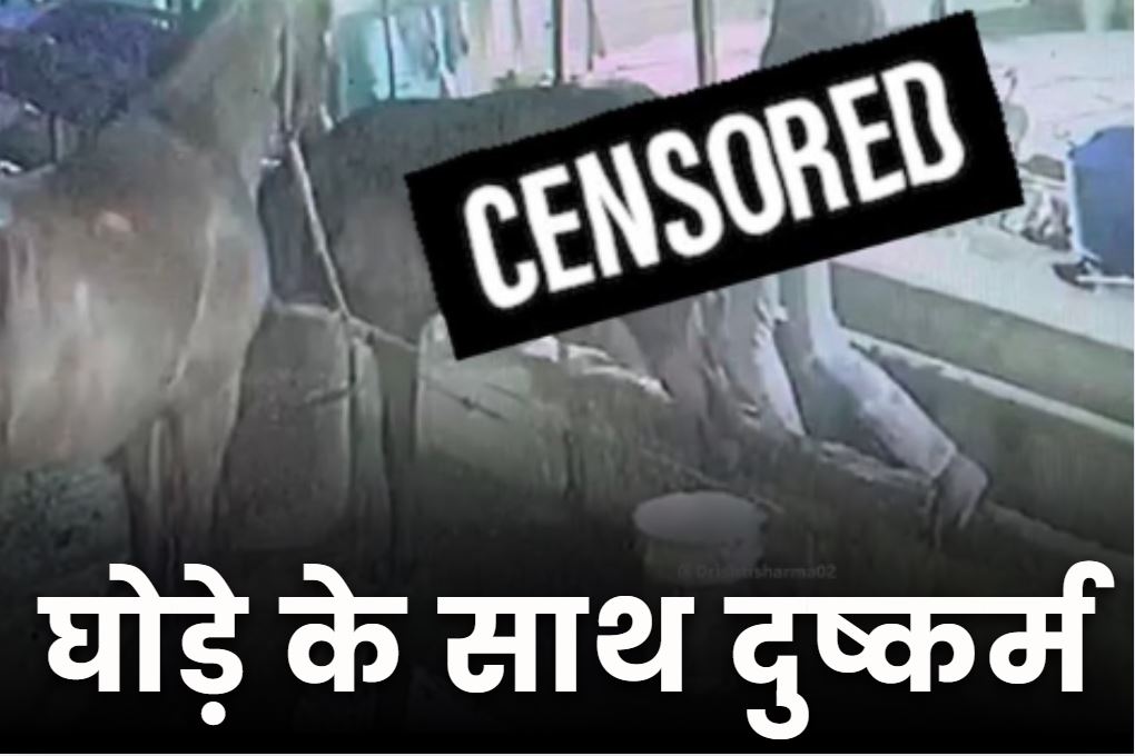 Nagpur Crime Latest News: घोड़े के साथ बलात्कार का मामला.. घुड़सवारी एकेडमी की वारदात, आरोपी के खिलाफ मामला दर्ज