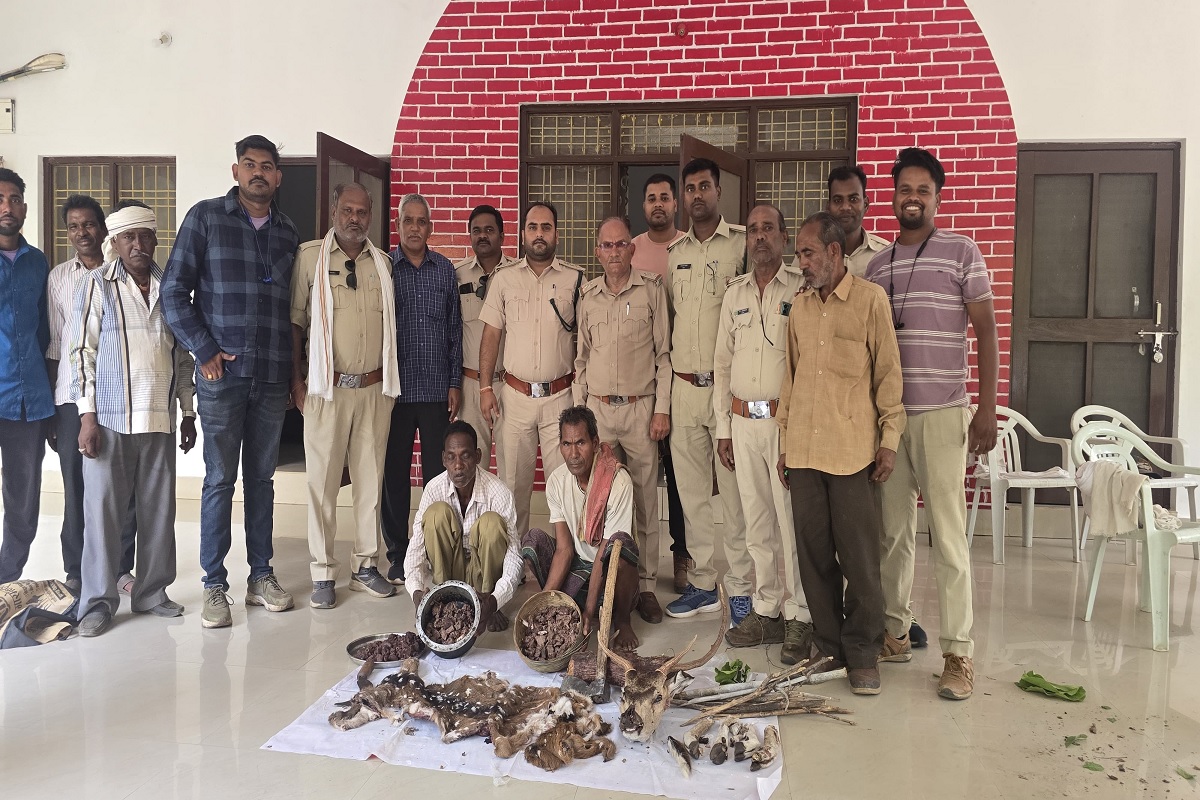 Jabalpur News: वन विभाग की ताबड़तोड़ कार्रवाई, चीतल का शिकार करने वाले तीन लोगों को दबोचा, हथियार भी बरामद