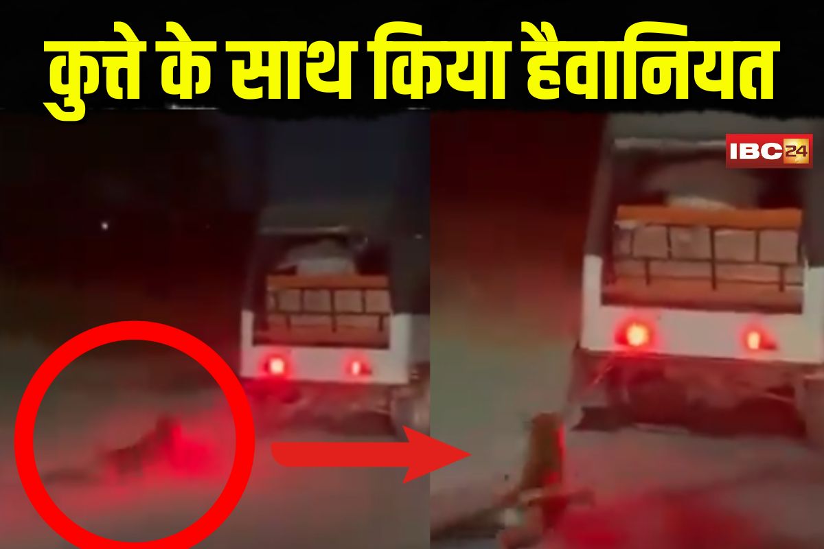 Greater Noida Dog Abuse Video: दरिंदगी की हद पार! ई-रिक्शा से बांधकर कुत्ते के साथ किया हैवानियत, फिर जो हुआ देख कांप जाएंगे रूह, वीडियो हुआ वायरल