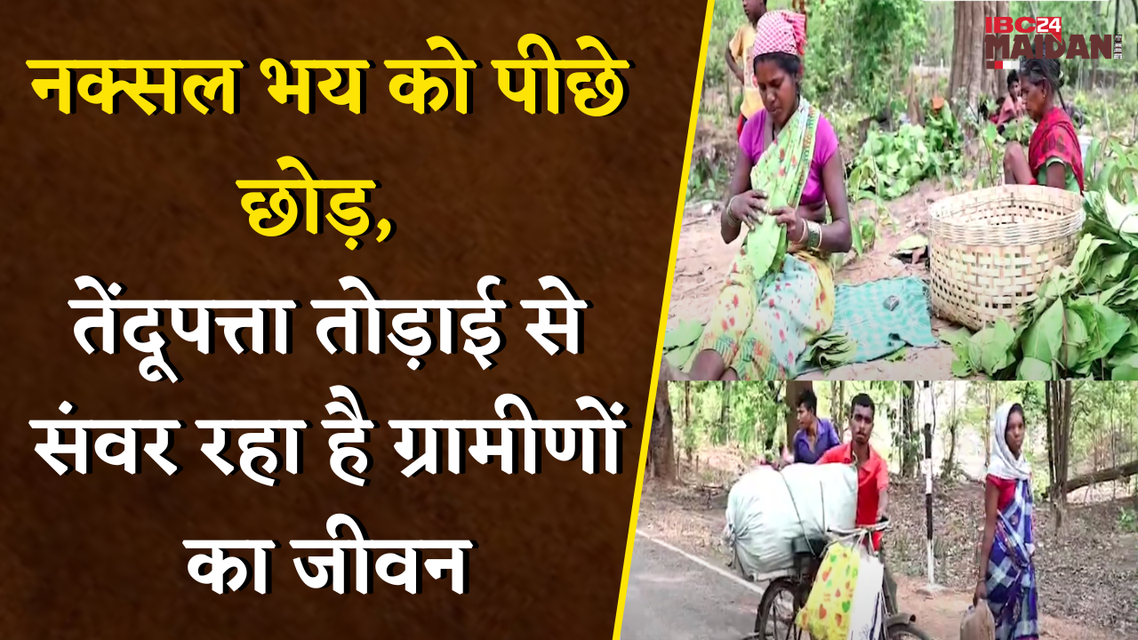 लाल आतंक के साए से निकल, तेंदूपत्ता बेच आत्मनिर्भरता की ओर बढ़ रहे ग्रामीण | Mohla Manpur News