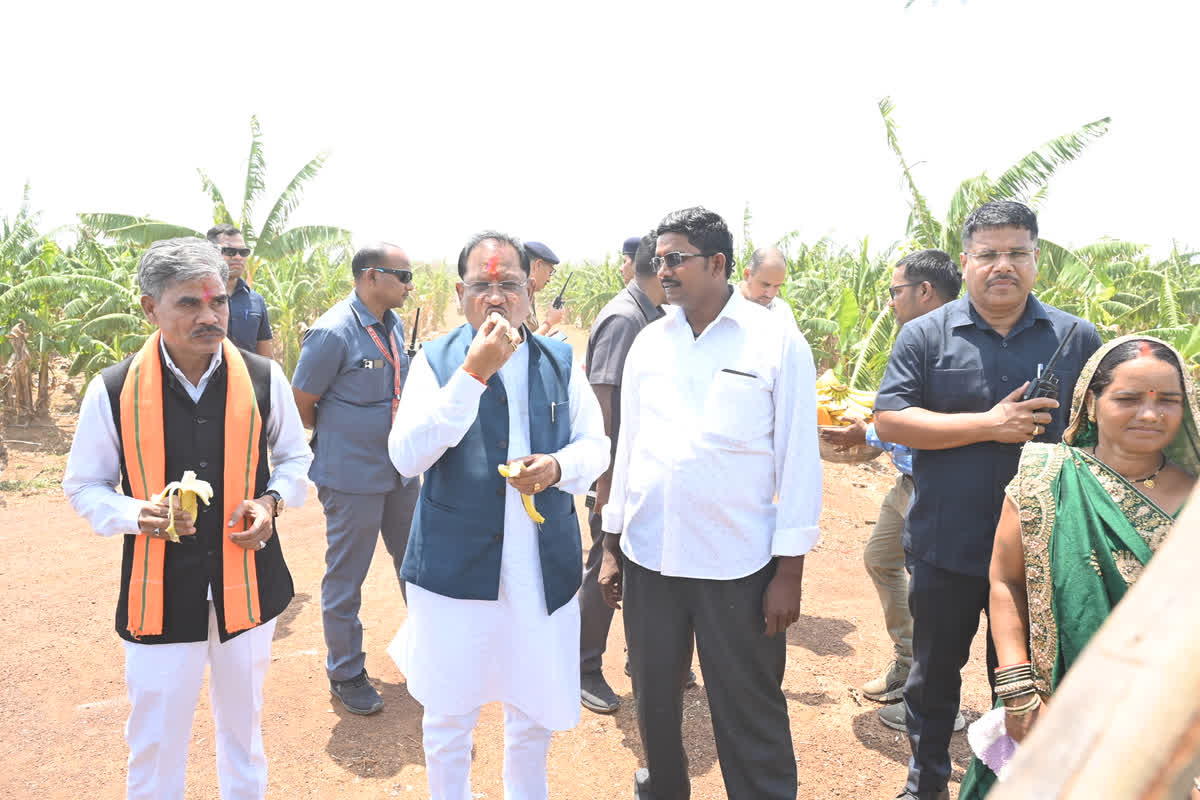 CM Sai in Rohit Sahu Farm/ Image Credit: CGDPR